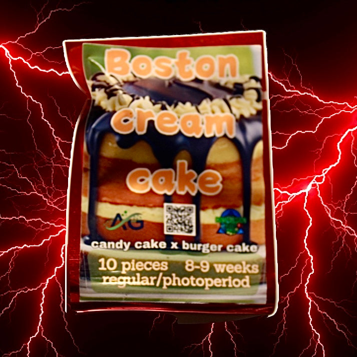 Boston Cream Cake