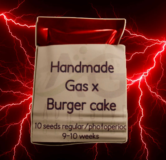 Handmade Gas x Burger Cake