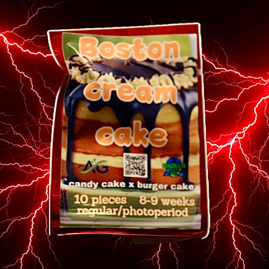 Boston Cream Cake
