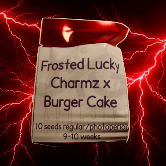 Frosted Lucky Charms x Burger Cake