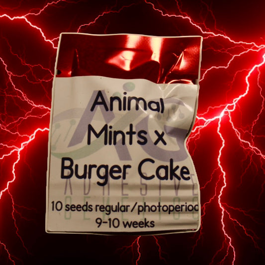 Animal Mints x Burger Cake