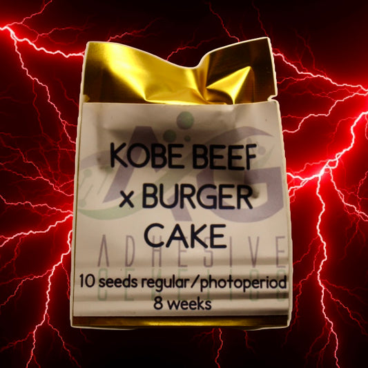 Kobe Beef x Burger Cake