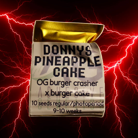 Donny’s Pineapple Cake