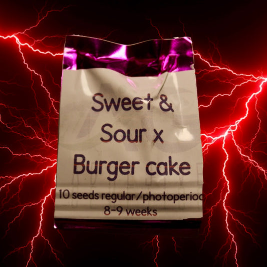 Sweet & Sour x Burger Cake